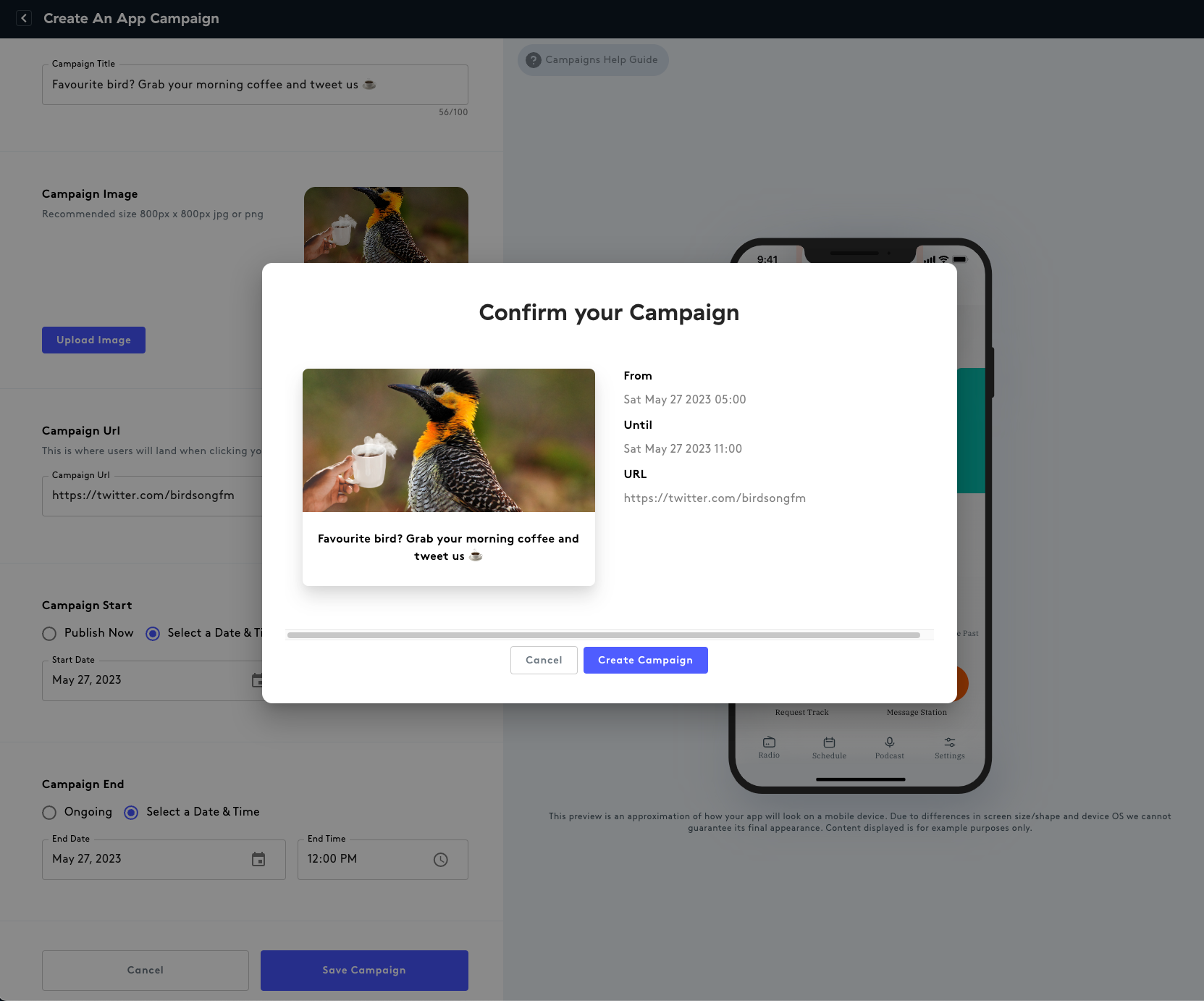 A screenshot showing how to confirm the radio app campaign.