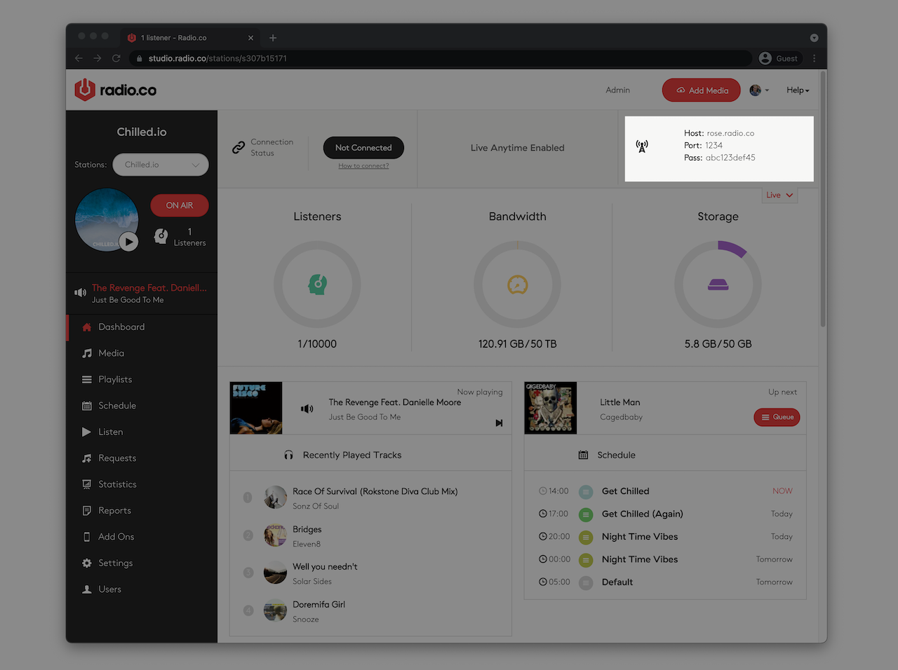 Image shows the Live DJ details in the Radio.co dashboard.