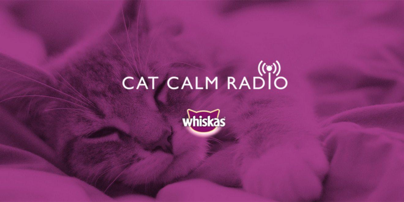Image is the artwork design for Whiskas Cat Calm Radio, featuring a purple background of a sleeping cat, white font that reads "Cat Calm Radio" and the Whiskas logo is below this font.